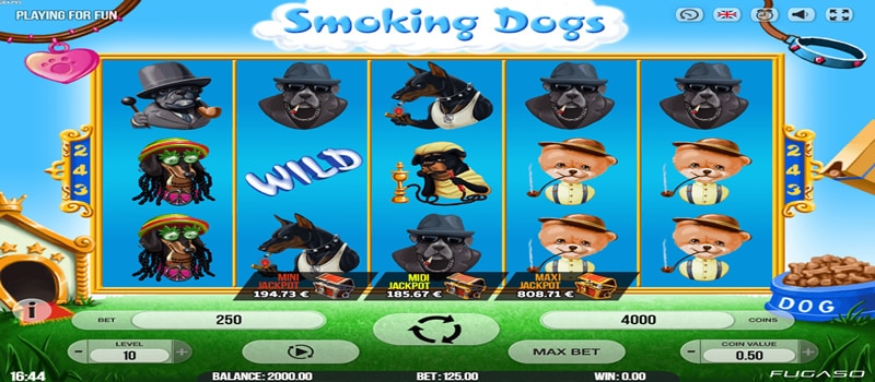 smoking dogs jackpot
