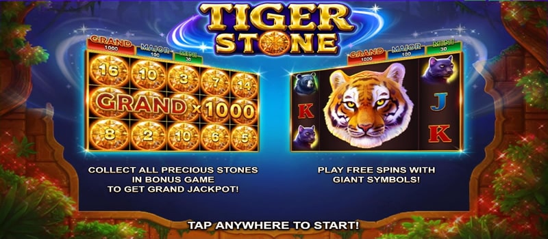 tiger stone jättipotti